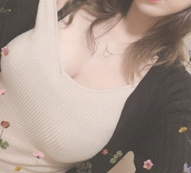 えちえちえちプロフ